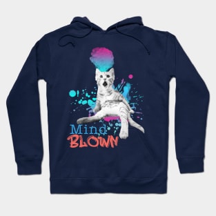 Mind Blown Cat Hoodie